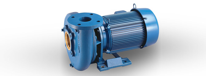 Aurora: Single Stage End Suction Horizontal Close Coupled Series 300