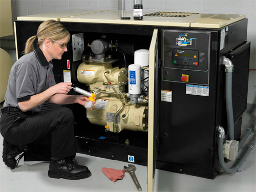 Ingersoll-Rand: Compressed Air Audit